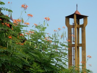 Clocher et flamboyants